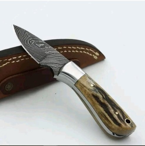 Staghorn Medium Sized Fixed-Blade Knife – Damascus Steel