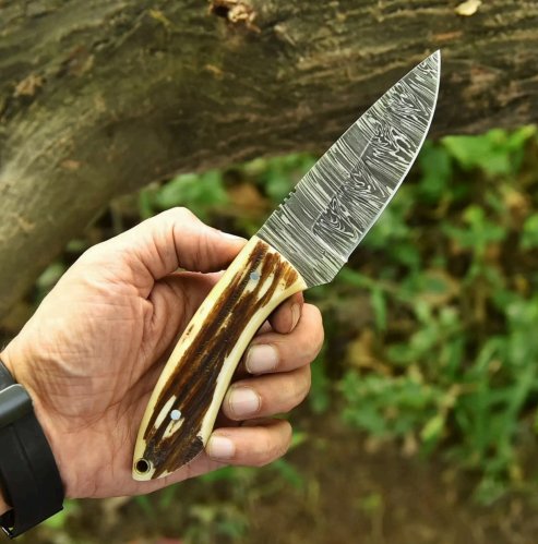 Staghorn Fixed-Blade Knife – Damascus Steel - Image 2