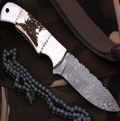 Staghorn Small Fixed-Blade Knife – Damascus Steel