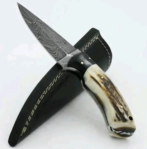 Staghorn Medium Sized Fixed-Blade Knife – Damascus Steel